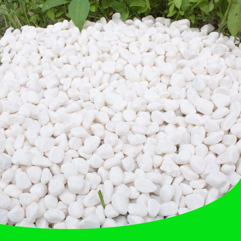 CJGQ White Pebbles for Plants Garden Vases 7 lb White Rocks Gravel Decorative Stone 1/2" - Image 1